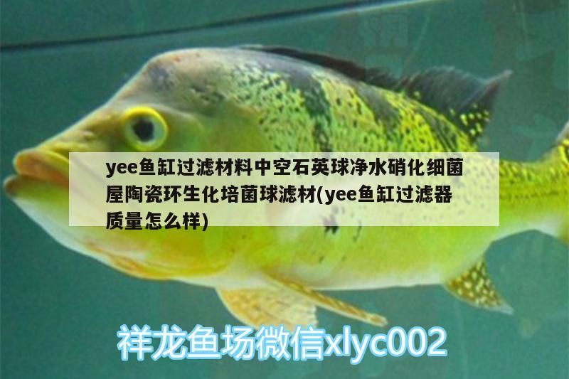 yee魚缸過濾材料中空石英球凈水硝化細菌屋陶瓷環生化培菌球濾材(yee魚缸過濾器質量怎么樣)