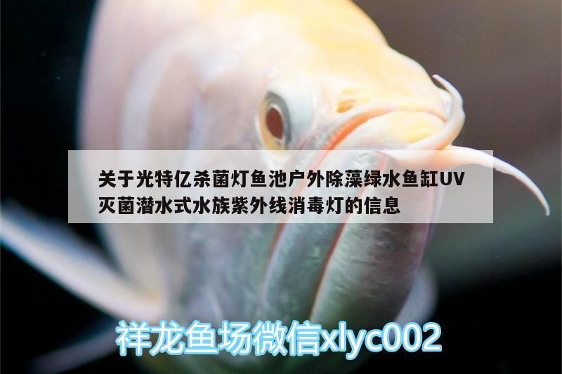 關于光特億殺菌燈魚池戶外除藻綠水魚缸UV滅菌潛水式水族紫外線消毒燈的信息