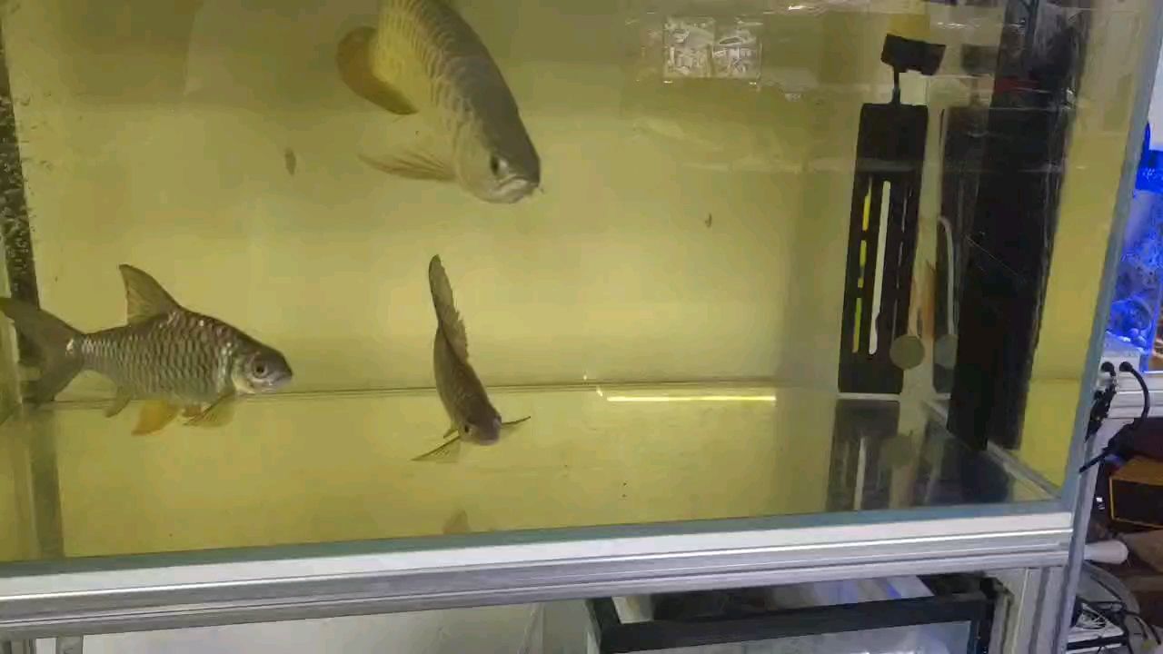 簽到 任務完成