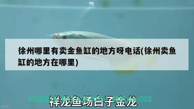 <strong><mark>徐州</mark></strong>哪里有賣金魚缸的地方呀電話(<strong><mark>徐州</mark></strong>賣魚缸的地方在哪里)