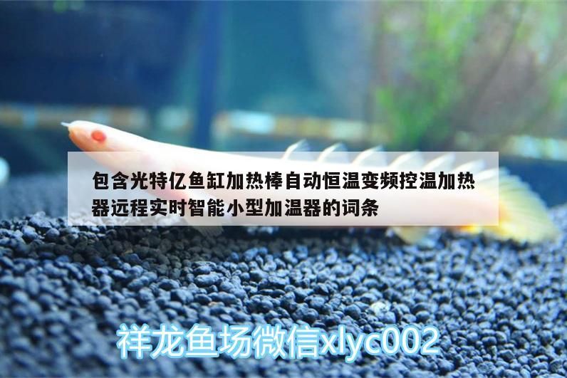 包含光特億魚缸加熱棒自動恒溫變頻控溫加熱器遠程實時智能小型加溫器的詞條 包含光特億魚缸加熱棒自動恒溫變頻控溫加熱器遠程實時智能小型加溫器的詞條 光特億