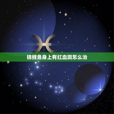 魚身有紅血絲怎么處理（魚身上出現紅血絲怎么辦） 魚身有紅血絲怎么處理（魚身上出現紅血絲怎么辦） 蝴蝶鯉百科 第2張
