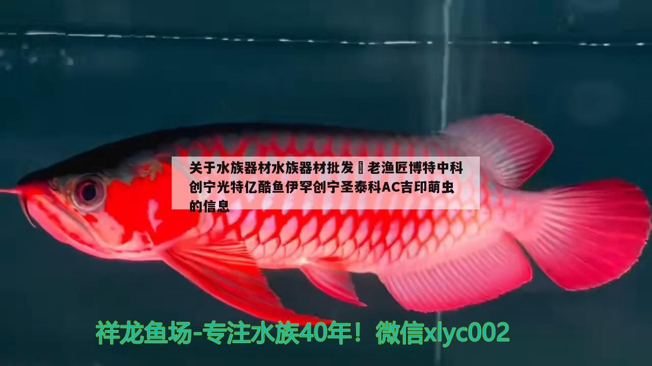 關于水族器材水族器材批發(fā)?老漁匠博特中科創(chuàng)寧光特億酷魚伊罕創(chuàng)寧圣泰科AC吉印萌蟲的信息 關于水族器材水族器材批發(fā)?老漁匠博特中科創(chuàng)寧光特億酷魚伊罕創(chuàng)寧圣泰科AC吉印萌蟲的信息 伊罕水族