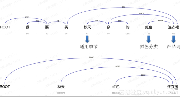 龍魚怕什么動物呢：龍魚之畏，探秘水族世界中的天敵與威脅