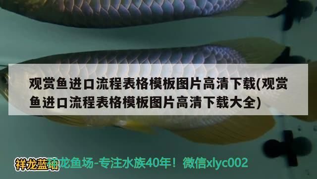 黃金貓是什么魚類的食物(黃金貓是什么魚類的食物圖片) 黃金貓是什么魚類的食物(黃金貓是什么魚類的食物圖片) 黃金貓魚百科 第1張