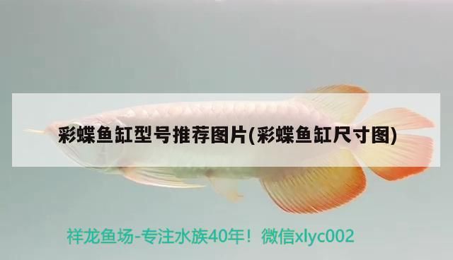 過濾魚缸水渾濁原因和解決方案圖（ 魚缸有過濾器水渾濁怎么辦怎么變清）