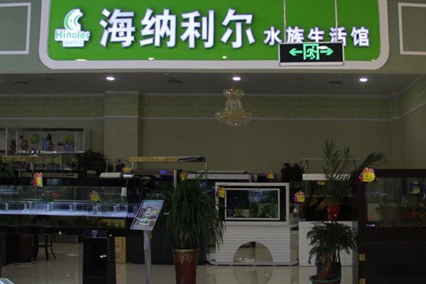 水族館加盟店有哪些品牌名稱和價格：水族館加盟品牌市場分析 水族館加盟店有哪些品牌名稱和價格：水族館加盟品牌市場分析 水族館百科（水族館加盟） 第5張