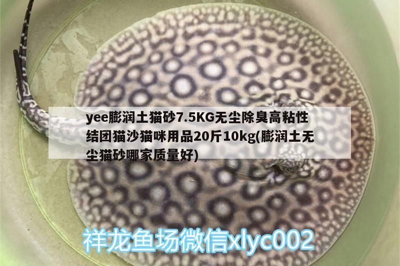 yee膨潤土貓砂7.5KG無塵除臭高粘性結團貓沙貓咪用品20斤10kg(膨潤土無塵貓砂哪家質量好)
