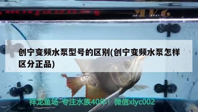 創寧變頻水泵型號的區別(創寧變頻水泵怎樣區分正品)