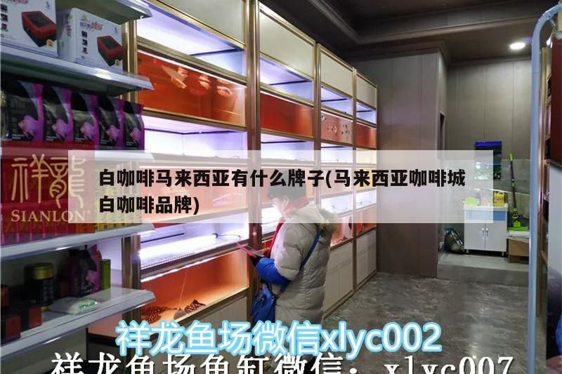 白咖啡馬來西亞有什么牌子(馬來西亞咖啡城白咖啡品牌) 白咖啡馬來西亞有什么牌子(馬來西亞咖啡城白咖啡品牌) 馬來西亞咖啡