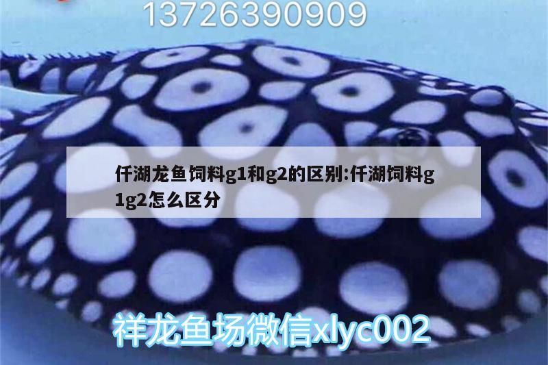 仟湖龍魚(yú)飼料g1和g2的區(qū)別:仟湖飼料g1g2怎么區(qū)分