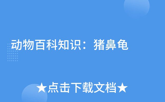 豬鼻龜代表什么動物:豬鼻龜是什么動物 豬鼻龜百科 第7張 豬鼻龜代表什么動物:豬鼻龜是什么動物 豬鼻龜代表什么動物:豬鼻龜是什么動物 豬鼻龜百科 第7張