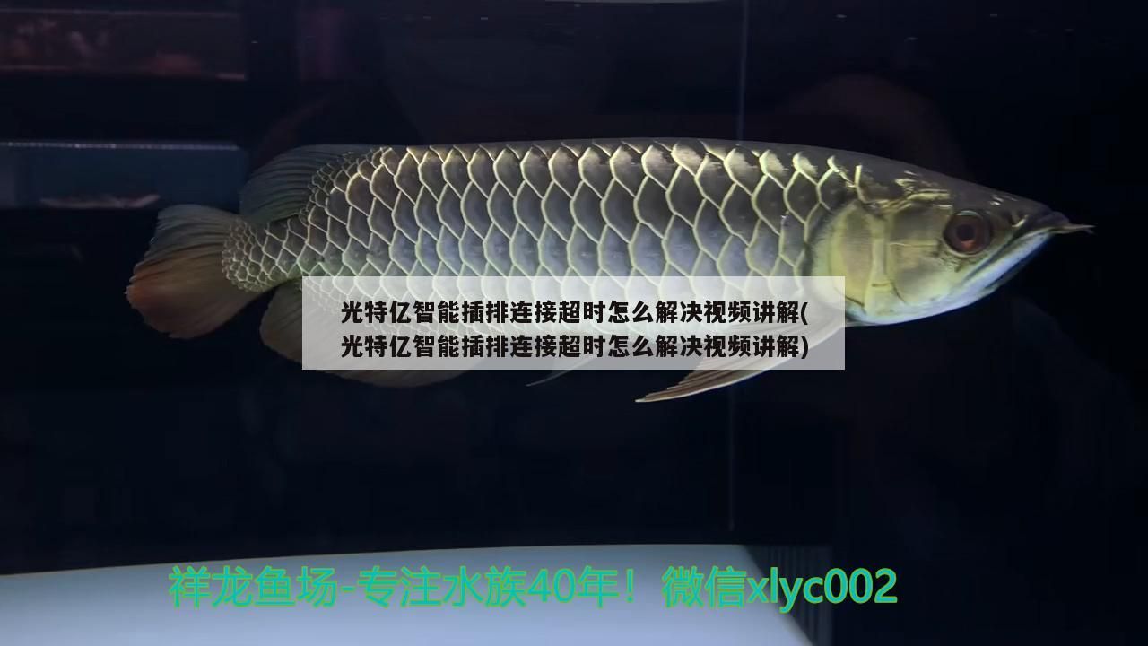 光特億智能插排連接超時怎么解決視頻講解(光特億智能插排連接超時怎么解決視頻講解)