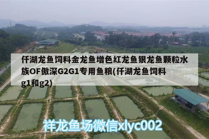 仟湖龍魚飼料金龍魚增色紅龍魚銀龍魚顆粒水族OF傲深G2G1專用魚糧(仟湖龍魚飼料g1和g2)