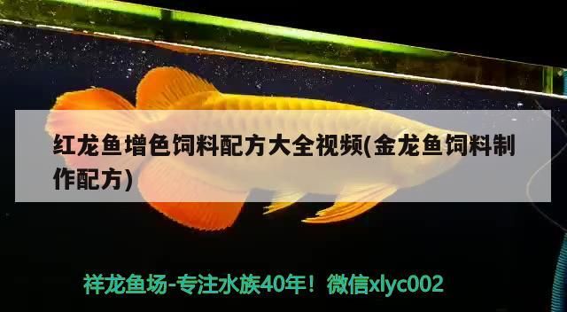 三合一魚缸過濾器好用嗎安全嗎（三合一潛水泵的噴氧功能值不值得用）