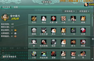 龍魚鱗會掉了是什么原因呢視頻講解：探秘龍魚鱗脫落之謎，原因剖析與應對指南