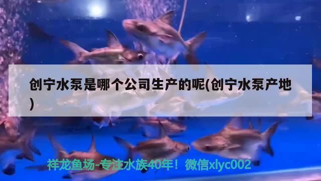 魚缸 創寧水泵是哪個公司生產的呢(創寧水泵產地) 創寧水族 創寧水泵是哪個公司生產的呢(創寧水泵產地) 創寧水泵是哪個公司生產的呢(創寧水泵產地) 創寧水族