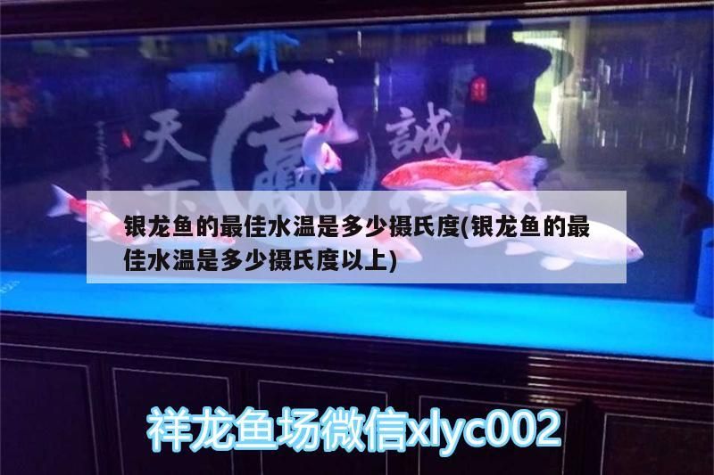 給大魚缸換水的作文:體驗給大魚缸換水的樂趣:體驗給大魚缸換水:給大魚缸換水的作文 銀龍魚的最佳水溫是多少攝氏度(銀龍魚的最佳水溫是多少攝氏度以上) 銀龍魚百科 銀龍魚的最佳水溫是多少攝氏度(銀龍魚的最佳水溫是多少攝氏度以上) 銀龍魚的最佳水溫是多少攝氏度(銀龍魚的最佳水溫是多少攝氏度以上) 銀龍魚百科