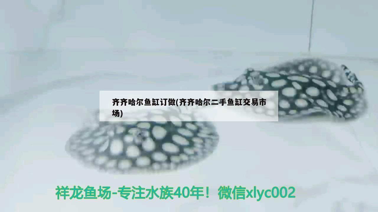 齊齊哈爾魚缸訂做(齊齊哈爾二手魚缸交易市場)