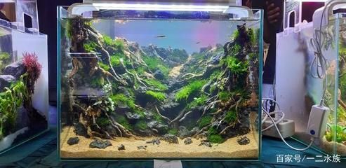 80魚(yú)缸造景：80魚(yú)缸造景的基本信息和步驟根據(jù)搜索結(jié)果整理信息