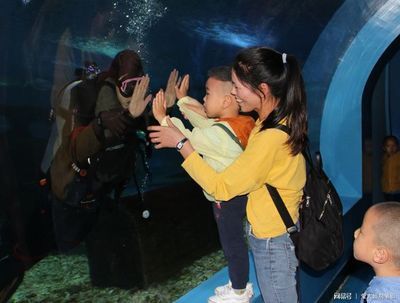 游戲 水族館 表演（關于游戲水族館表演的詳情） 游戲 水族館 表演（關于游戲水族館表演的詳情） 水族館百科（水族館加盟） 第4張