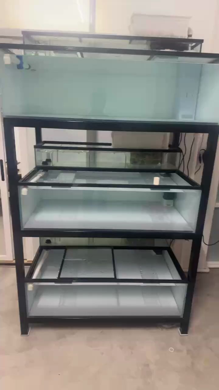 組缸開始養水