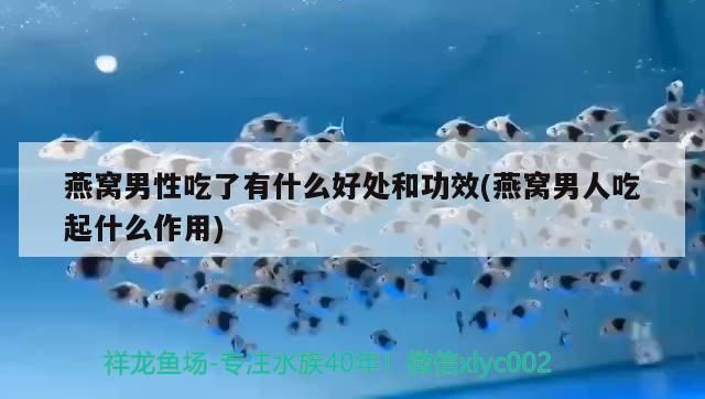 魚缸生意怎么樣好不好呢圖片(魚缸生意怎么做大?) 錦鯉魚百科 第1張 魚缸生意怎么樣好不好呢圖片(魚缸生意怎么做大?) 魚缸生意怎么樣好不好呢圖片(魚缸生意怎么做大?) 錦鯉魚百科 第1張