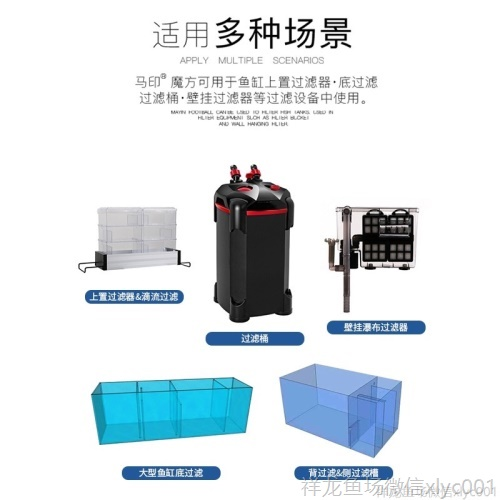 馬印魔方魚缸濾材凈水過濾材料細菌屋水族過濾材料生化過濾硝化菌 馬印水族 第4張 馬印魔方魚缸濾材凈水過濾材料細菌屋水族過濾材料生化過濾硝化菌 馬印魔方魚缸濾材凈水過濾材料細菌屋水族過濾材料生化過濾硝化菌 馬印水族 第4張