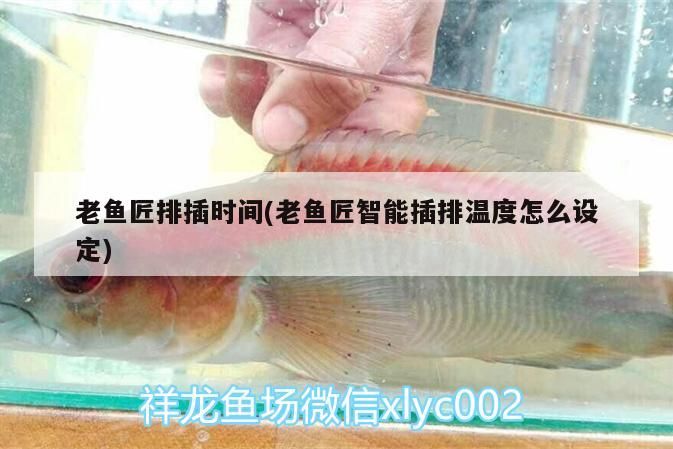 老魚匠排插時間(老魚匠智能插排溫度怎么設(shè)定) 老魚匠排插時間(老魚匠智能插排溫度怎么設(shè)定) 老魚匠