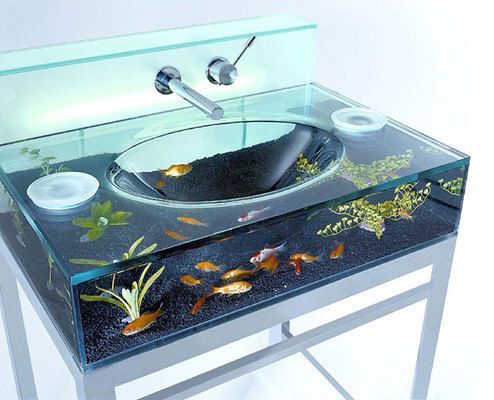水族館英文翻譯：世界著名水族館介紹“水族館”翻譯成英文時存在多種可能的表達