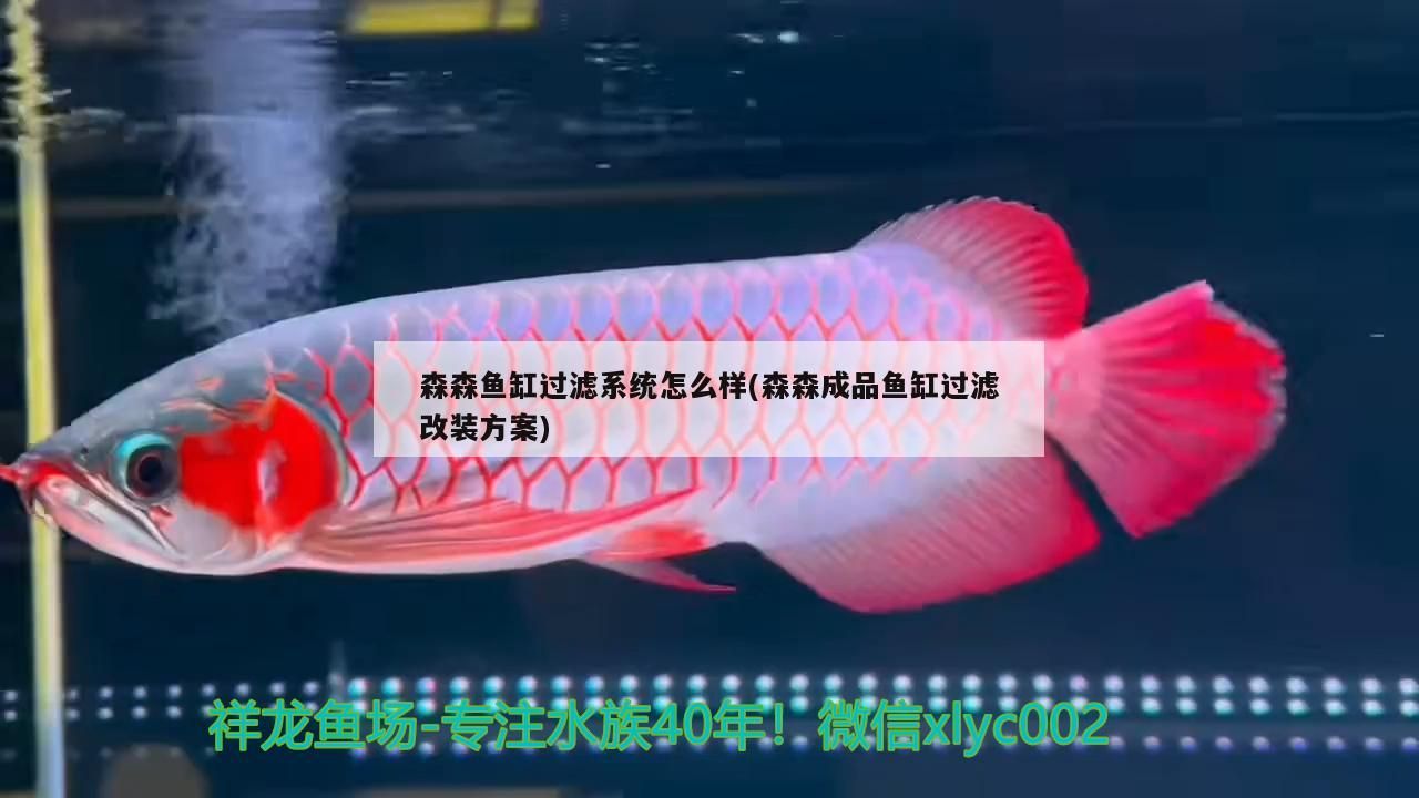 老魚匠加熱器故障(老魚匠加熱棒怎么拆卸清洗)