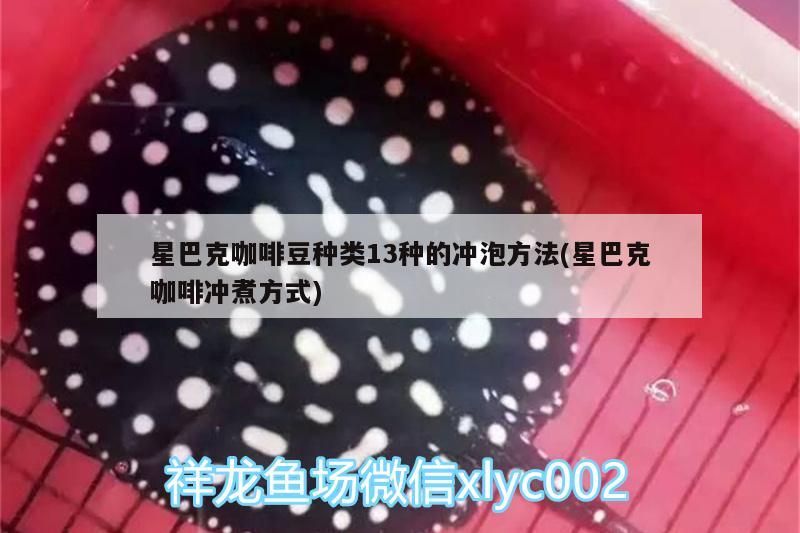 魚缸用增氧泵價格是多少:魚缸增氧機-xtrac增氧機-xtrac增氧機 星巴克咖啡豆種類13種的沖泡方法(星巴克咖啡沖煮方式) 馬來西亞咖啡 星巴克咖啡豆種類13種的沖泡方法(星巴克咖啡沖煮方式) 星巴克咖啡豆種類13種的沖泡方法(星巴克咖啡沖煮方式) 馬來西亞咖啡