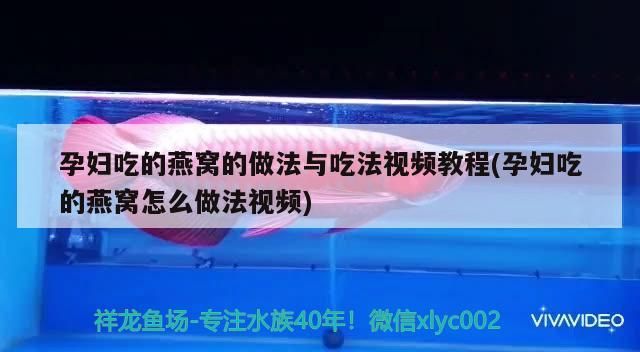 魚缸過濾耗材多久換一個（PAC濾芯保質期是多久）