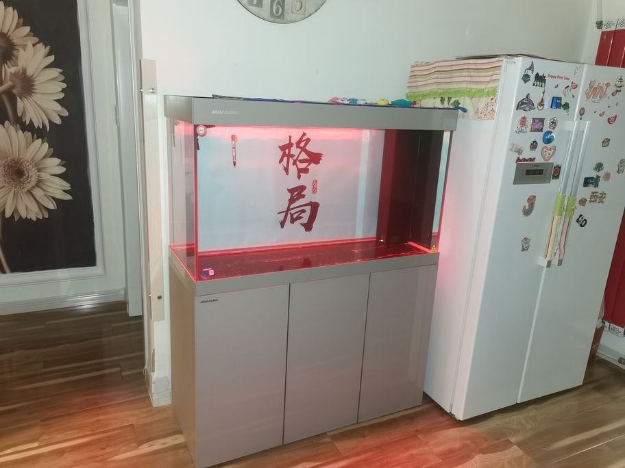 開缸養(yǎng)水中！