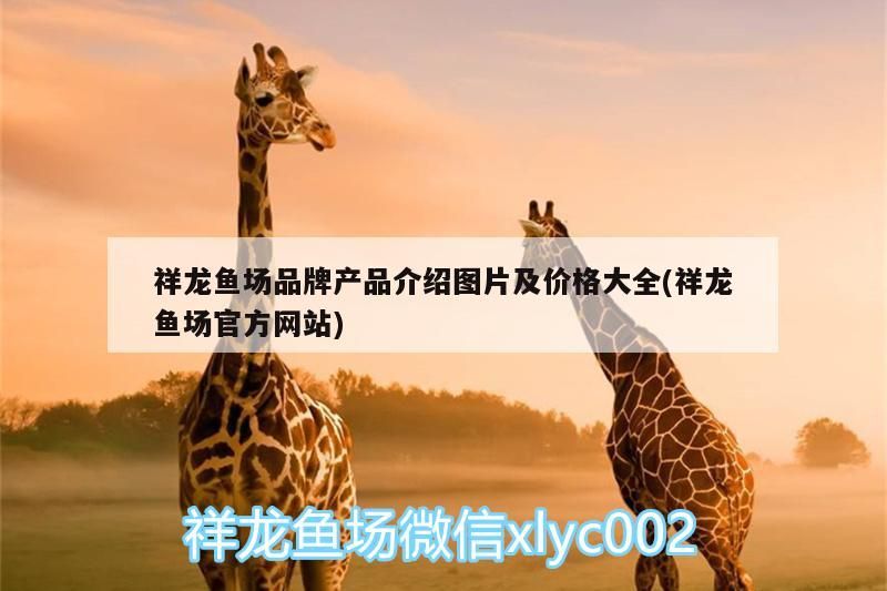 祥龍魚場品牌產(chǎn)品介紹圖片及價(jià)格大全(祥龍魚場官方網(wǎng)站)