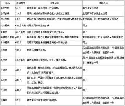 青龍魚和星點龍魚哪個好：探秘龍魚世界，金龍魚、紅龍魚、青龍魚與星點龍魚的價格奧秘