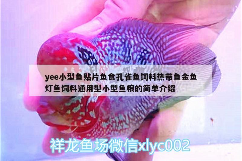 虎魚這種魚眼還有救嗎? yee小型魚貼片魚食孔雀魚飼料熱帶魚金魚燈魚飼料通用型小型魚糧的簡單介紹 yee yee小型魚貼片魚食孔雀魚飼料熱帶魚金魚燈魚飼料通用型小型魚糧的簡單介紹 yee小型魚貼片魚食孔雀魚飼料熱帶魚金魚燈魚飼料通用型小型魚糧的簡單介紹 yee