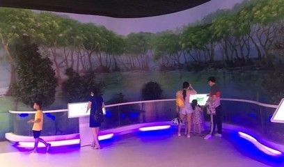 祥龍水族館VR體驗開放時間（哈爾濱祥龍水族館vr體驗2024年11月22日向公眾開放） 祥龍水族館VR體驗開放時間（哈爾濱祥龍水族館vr體驗2024年11月22日向公眾開放） 水族館百科（水族館加盟） 第2張