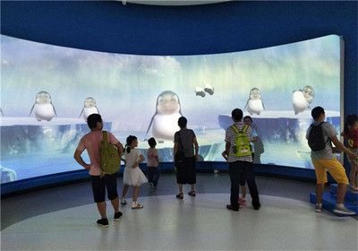 祥龍水族館VR體驗開放時間（哈爾濱祥龍水族館vr體驗2024年11月22日向公眾開放） 祥龍水族館VR體驗開放時間（哈爾濱祥龍水族館vr體驗2024年11月22日向公眾開放） 水族館百科（水族館加盟） 第6張