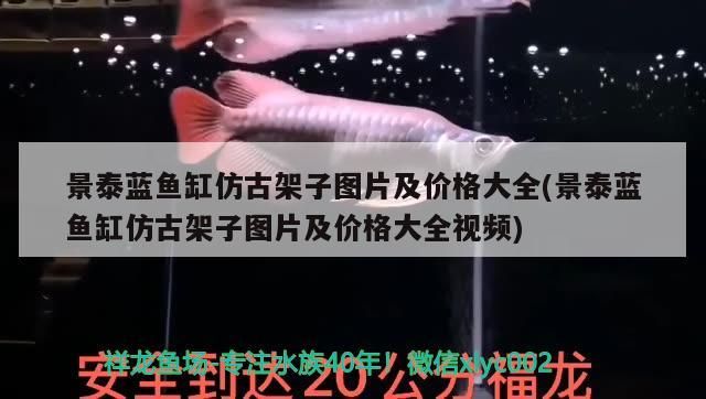 景泰藍魚缸仿古架子圖片及價格大全(景泰藍魚缸仿古架子圖片及價格大全視頻) 景泰藍魚缸仿古架子圖片及價格大全(景泰藍魚缸仿古架子圖片及價格大全視頻) 九鼎魚缸
