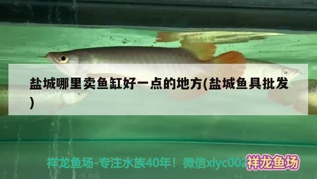 鹽城哪里賣魚缸好一點的地方(鹽城魚具批發)