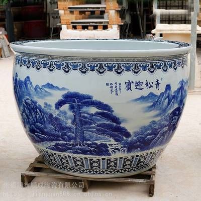 1米大魚缸養什么魚合適：1米大魚缸養魚的適宜種類