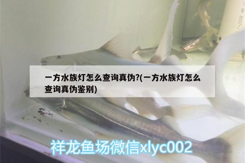 魚缸用增氧泵價格是多少:魚缸增氧機-xtrac增氧機-xtrac增氧機 一方水族燈怎么查詢真偽?(一方水族燈怎么查詢真偽鑒別) 一方水族 一方水族燈怎么查詢真偽?(一方水族燈怎么查詢真偽鑒別) 一方水族燈怎么查詢真偽?(一方水族燈怎么查詢真偽鑒別) 一方水族