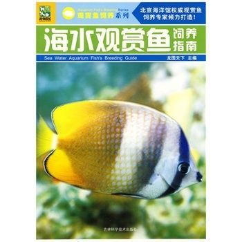 觀賞魚正確的養法視頻（觀賞魚的色彩科學你知道嗎觀賞魚的色彩科學你知道嗎） 觀賞魚正確的養法視頻（觀賞魚的色彩科學你知道嗎觀賞魚的色彩科學你知道嗎） 一方水族 第1張