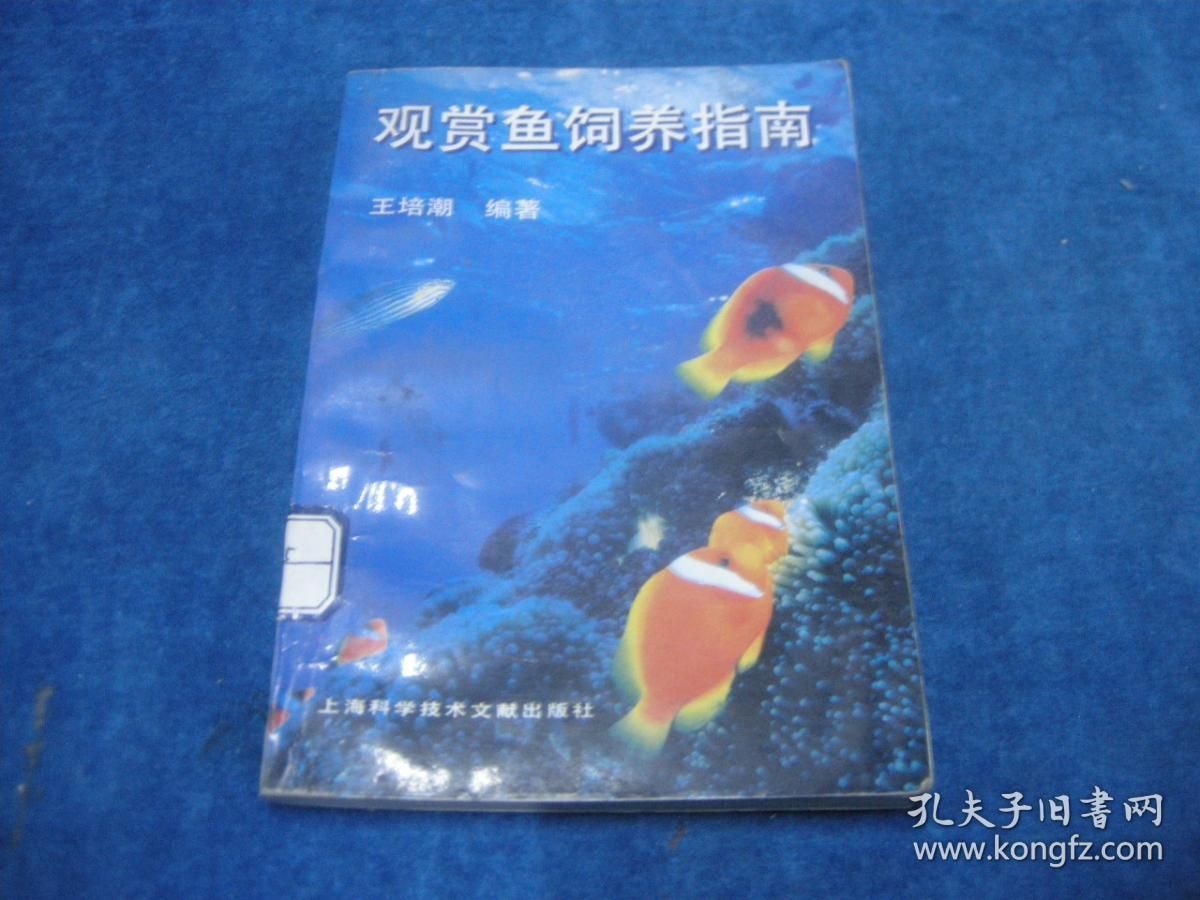觀賞魚正確的養法視頻（觀賞魚的色彩科學你知道嗎觀賞魚的色彩科學你知道嗎） 觀賞魚正確的養法視頻（觀賞魚的色彩科學你知道嗎觀賞魚的色彩科學你知道嗎） 一方水族 第3張