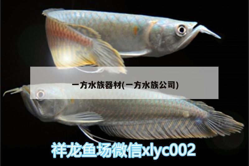 一方水族器材(一方水族公司) 一方水族器材(一方水族公司) 一方水族