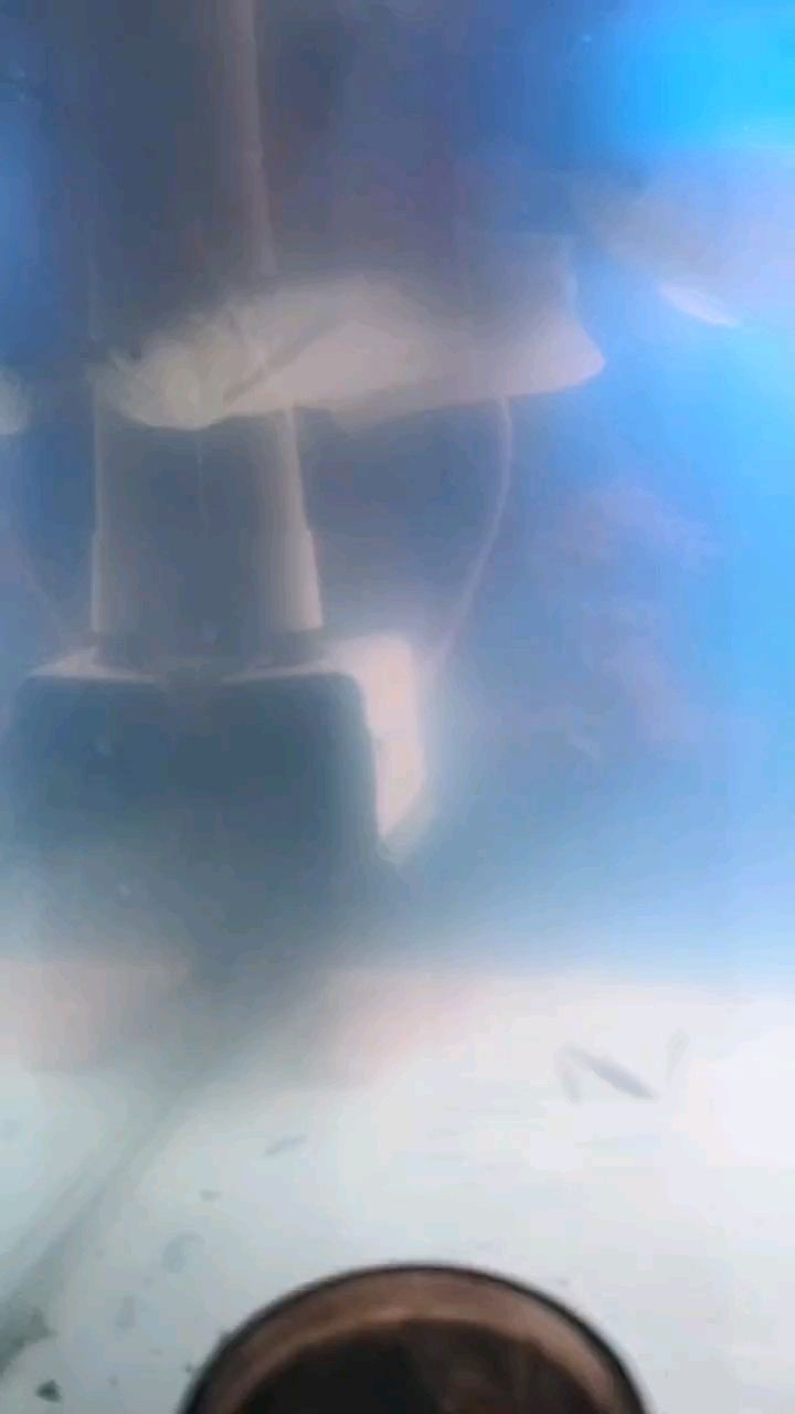 重新開缸[daku][daku][daku] 重新開缸[daku][daku][daku] 龍魚論壇