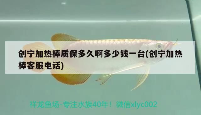 創寧加熱棒質保多久啊多少錢一臺(創寧加熱棒客服電話) 創寧加熱棒質保多久啊多少錢一臺(創寧加熱棒客服電話) 創寧水族