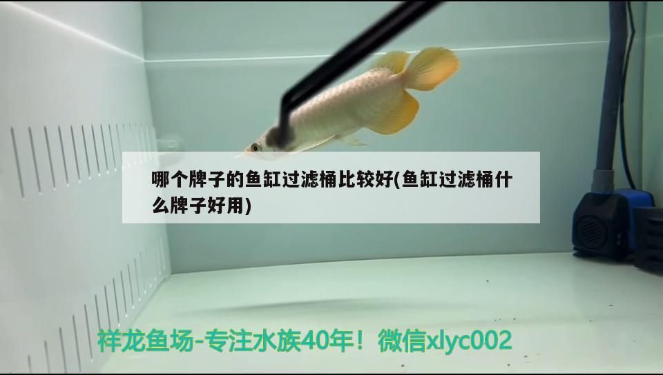 哪個牌子的魚缸過濾桶比較好(魚缸過濾桶什么牌子好用)