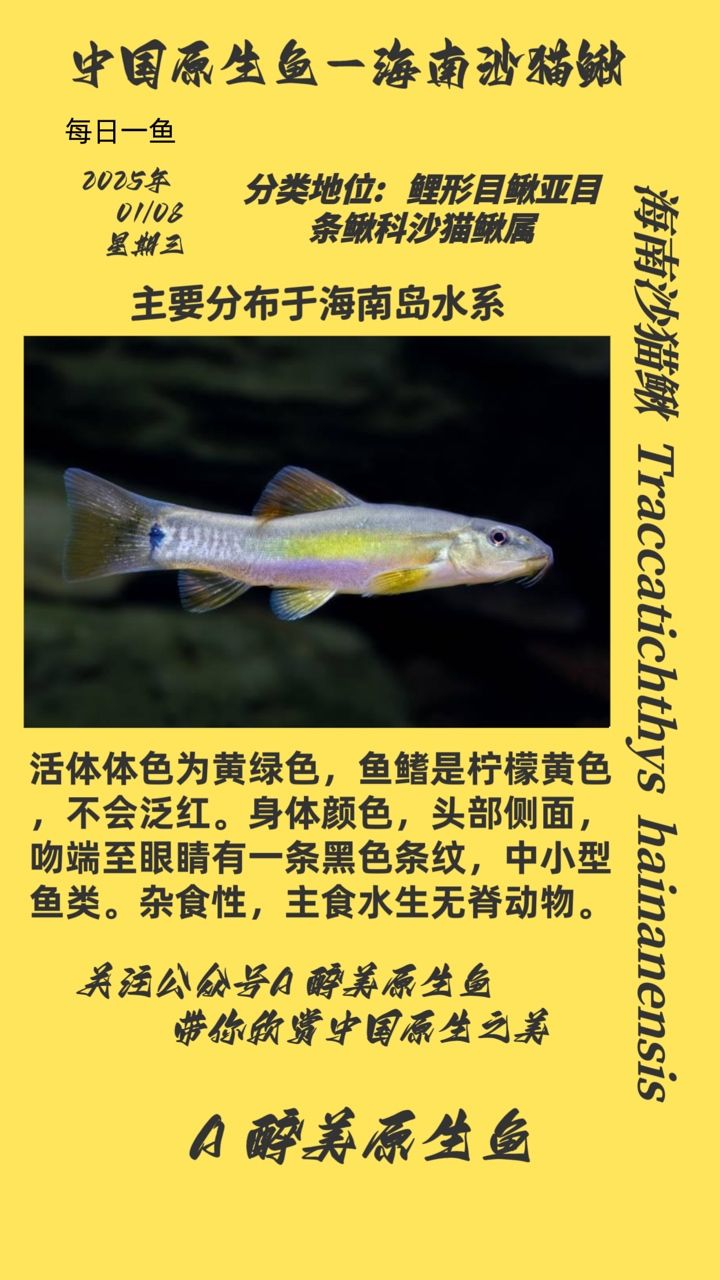 魚缸過濾器選購指南:自制魚缸過濾器魚缸上置過濾器對于養魚愛好者的必備知識 海南沙貓鰍 龍魚論壇 海南沙貓鰍 海南沙貓鰍 龍魚論壇